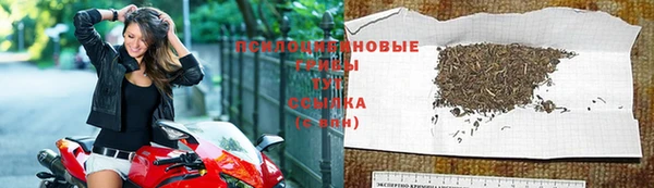 стафф Богородицк