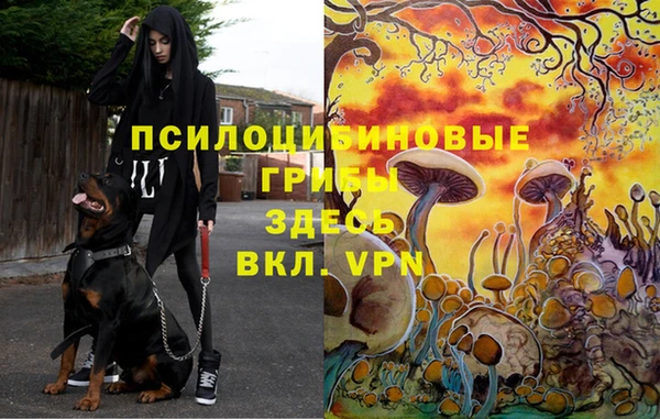 бутират Богородск