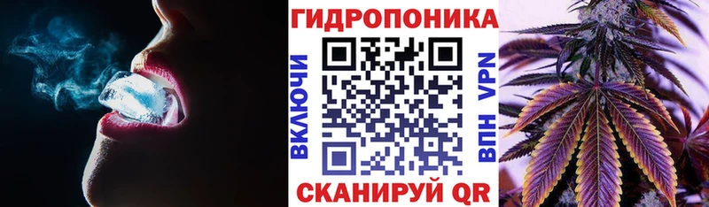 Бошки Шишки ГИДРОПОН Купить где Петровск